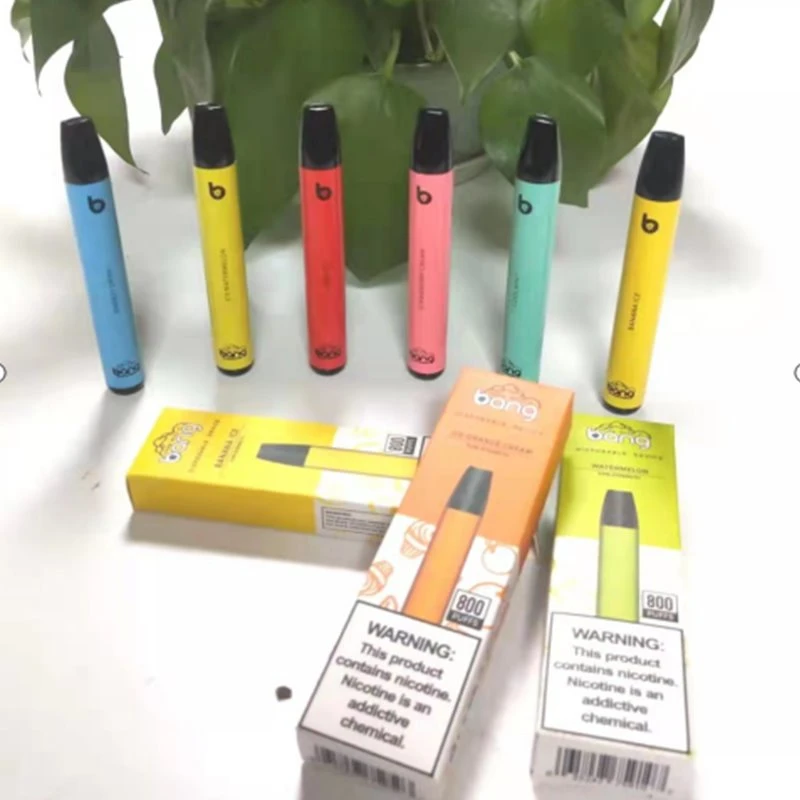 Bang Mini 800 puhači za jednokratnu upotrebu Vape