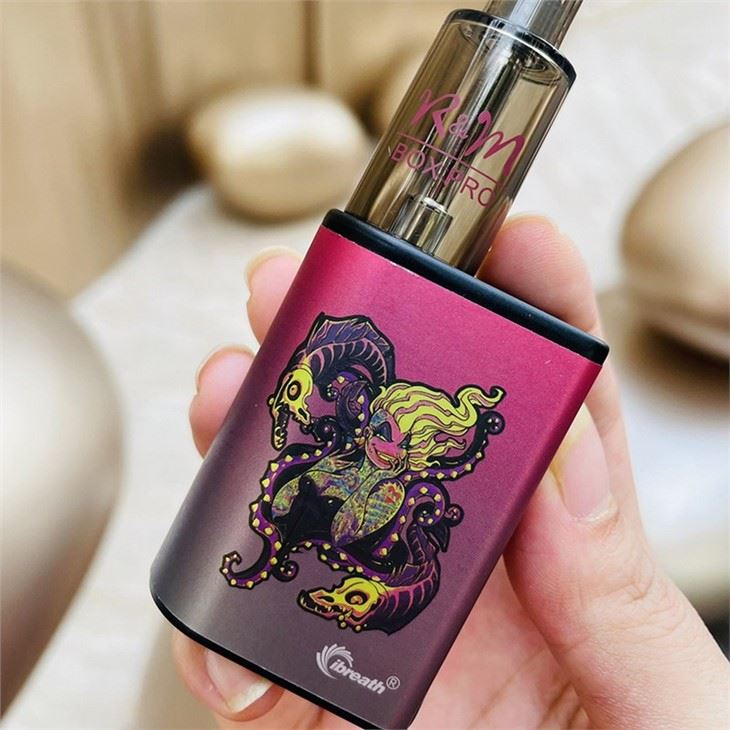 R&M Box Pro Disposable