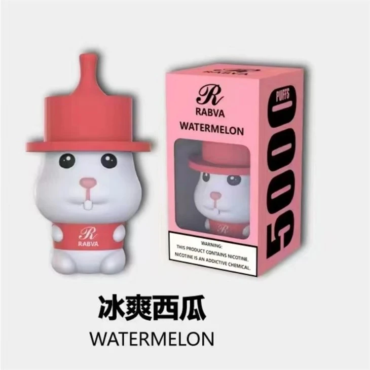 Rabva 5000 Puff Vape
