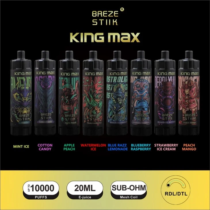 Breze Stiik 10000