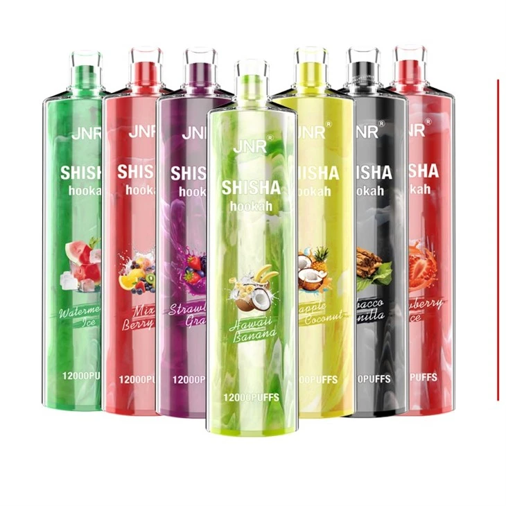 JNR ShiSha 12000 Puffs