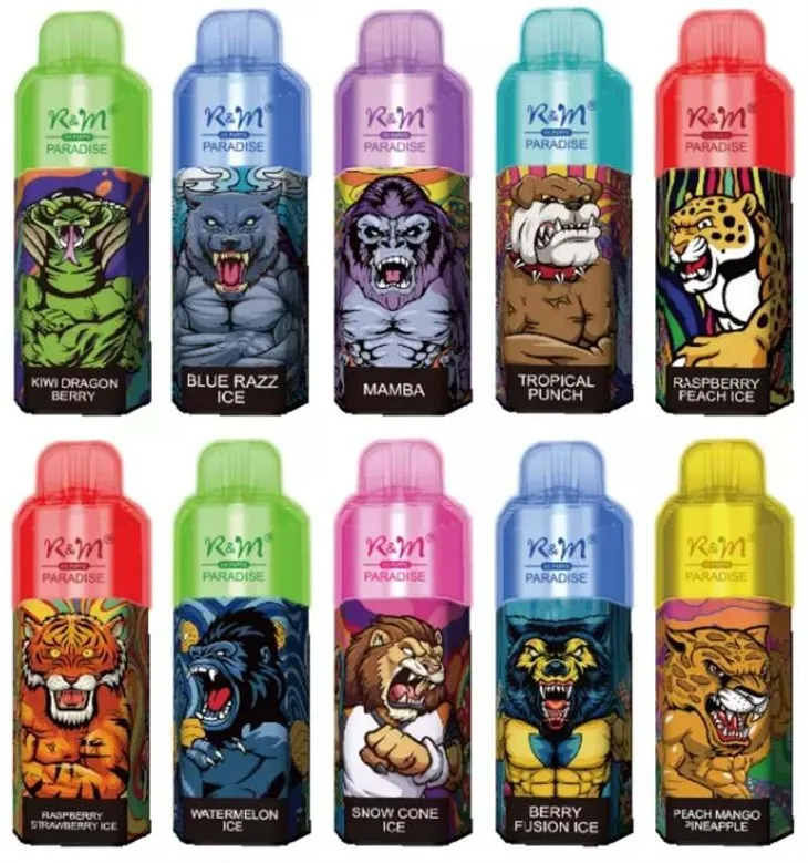 R&M PARADISE 8000 vape